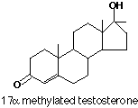 17alpha methylated testosterone