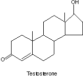 Testosterone