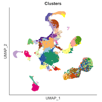 Example cluster plot of RNAseq data
